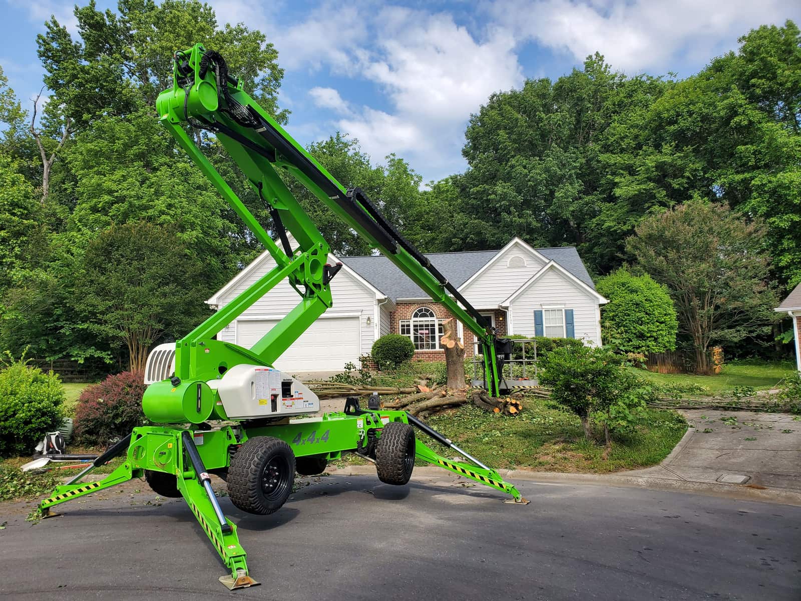 Grid of completed tree work projects in Charlotte