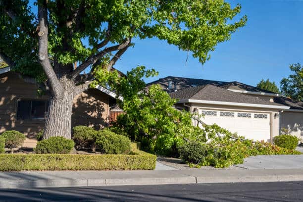 Storm and emergency tree work
